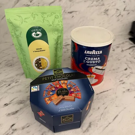 Apartmán Luxury In The Historic Center Košice